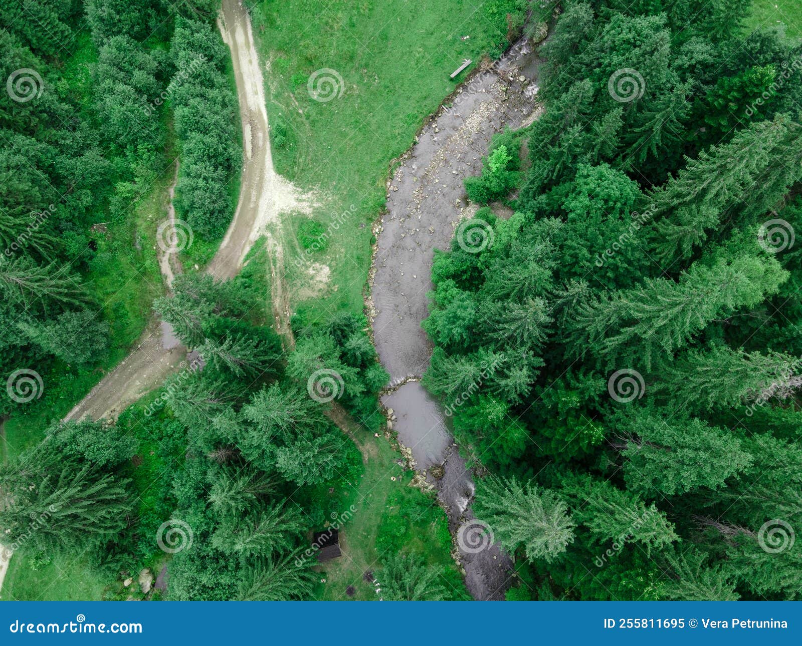 Overhead View of Forest and Mountains River Stock Image Image of pine