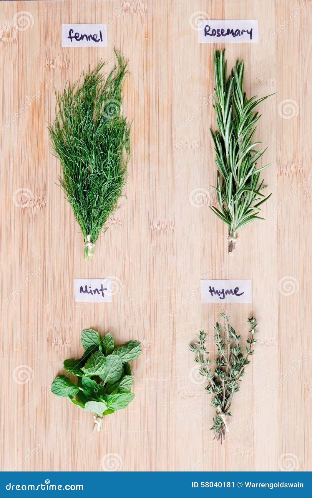 Overhead View Of Fresh Herbs With Names On Wooden Board Stock ...