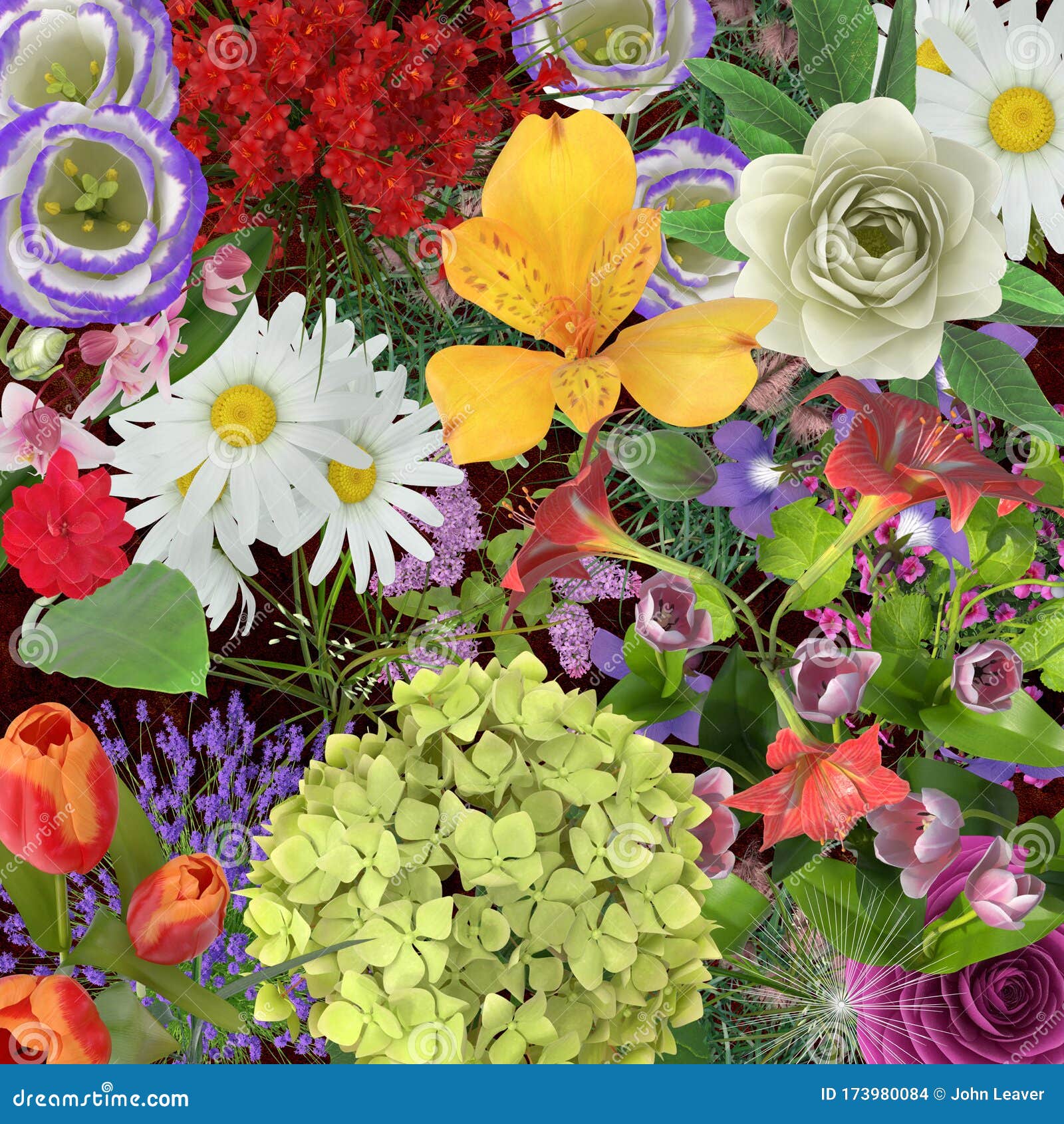 Overhead View of Lots of Colourful Flowers Stock Photo - Image of ...