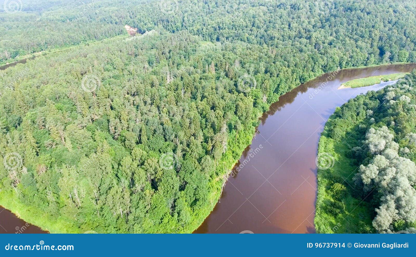 Overhead View of River Across the Forest Stock Photo Image of rainforest, jungle 96737914