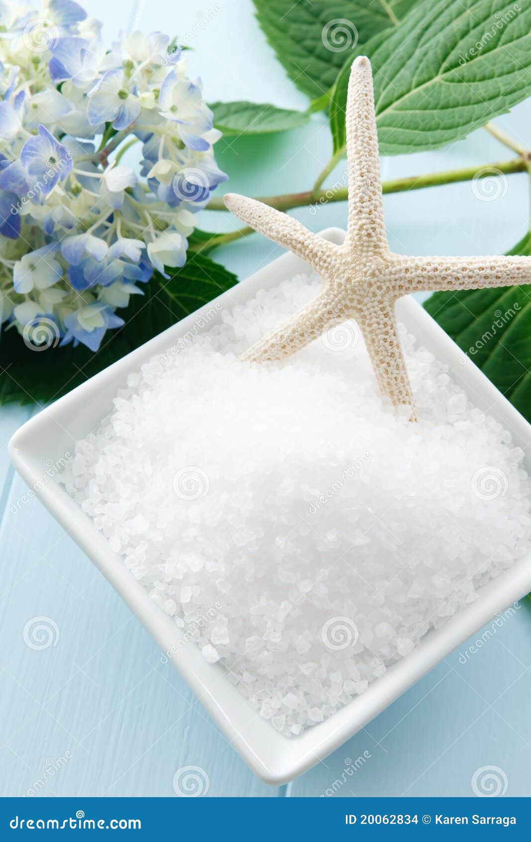 Overhead View of Sea Salt Bath Scrub Stock Photo Image of relaxing, white 20062834