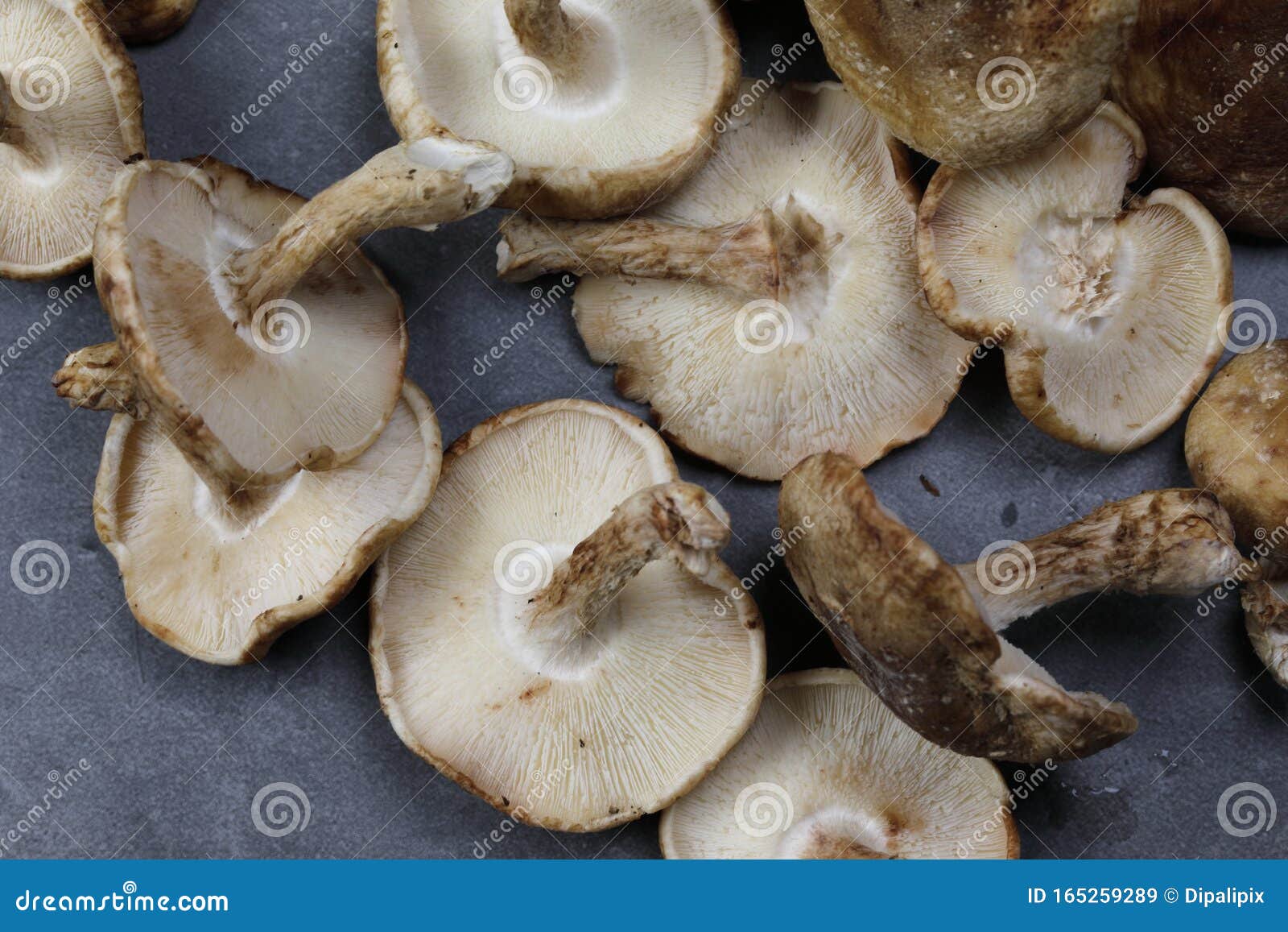 Overhead View of Shiitake Mushrooms on Grey Background Stock Image