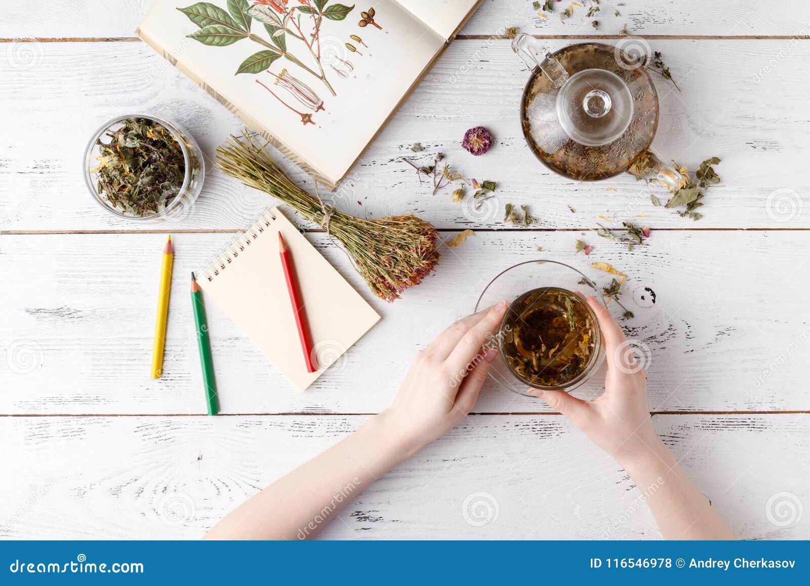 Overhead View of Various Sorts of Tea. Flavoured with Assorted Herbs, an Apple, Rose with a