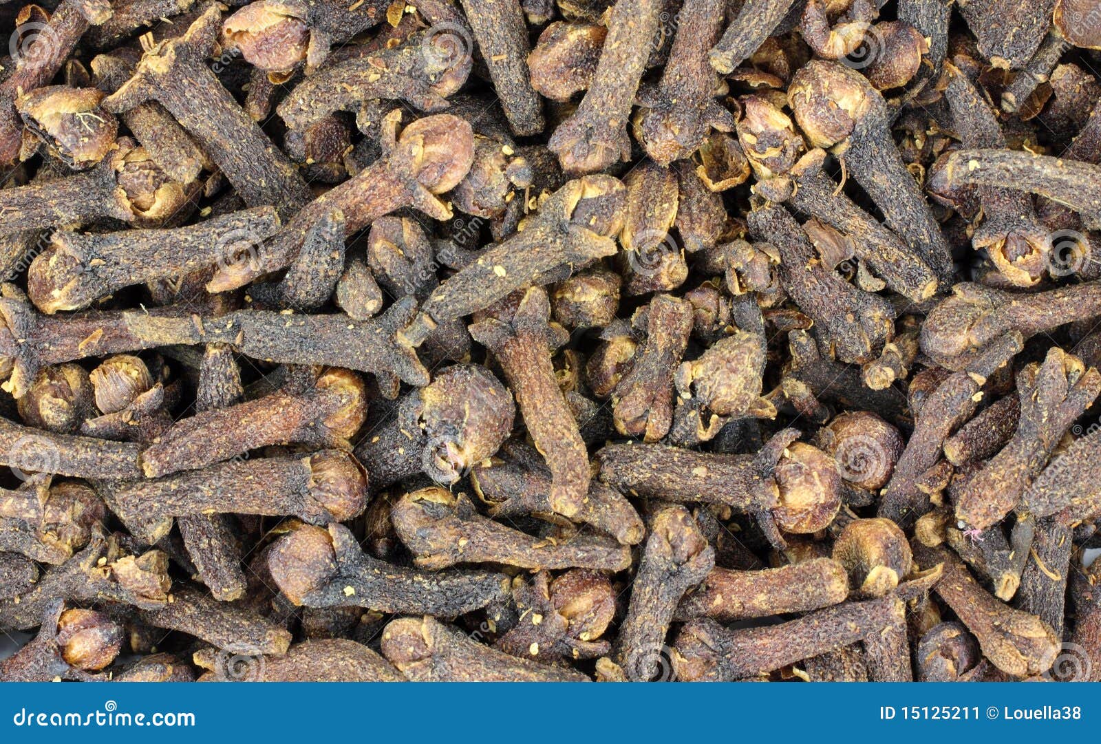 Overhead View Whole Cloves stock image. Image of cloves 15125211