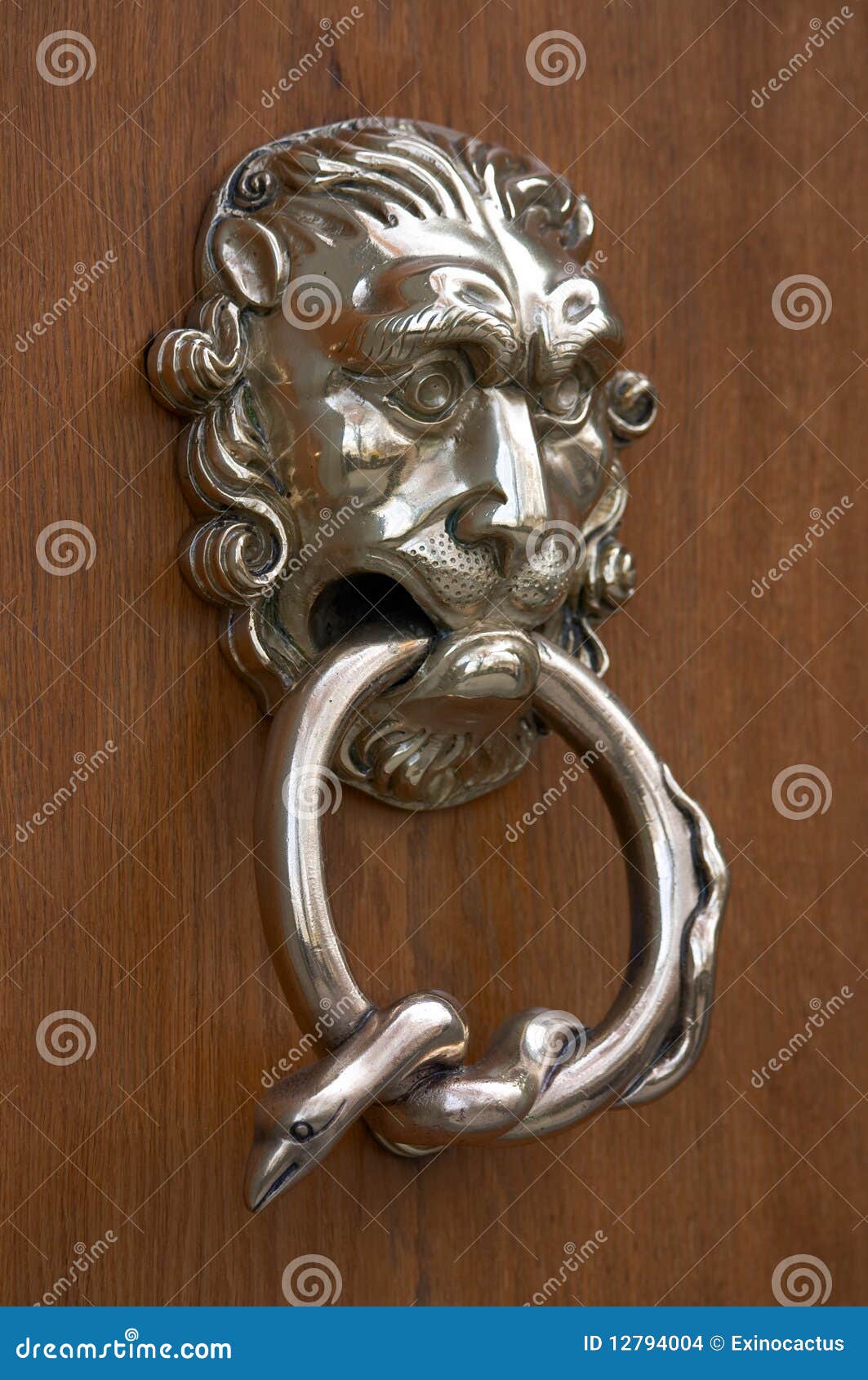 Overladen deurkloppers stock foto. Image of slot, slang 12794004