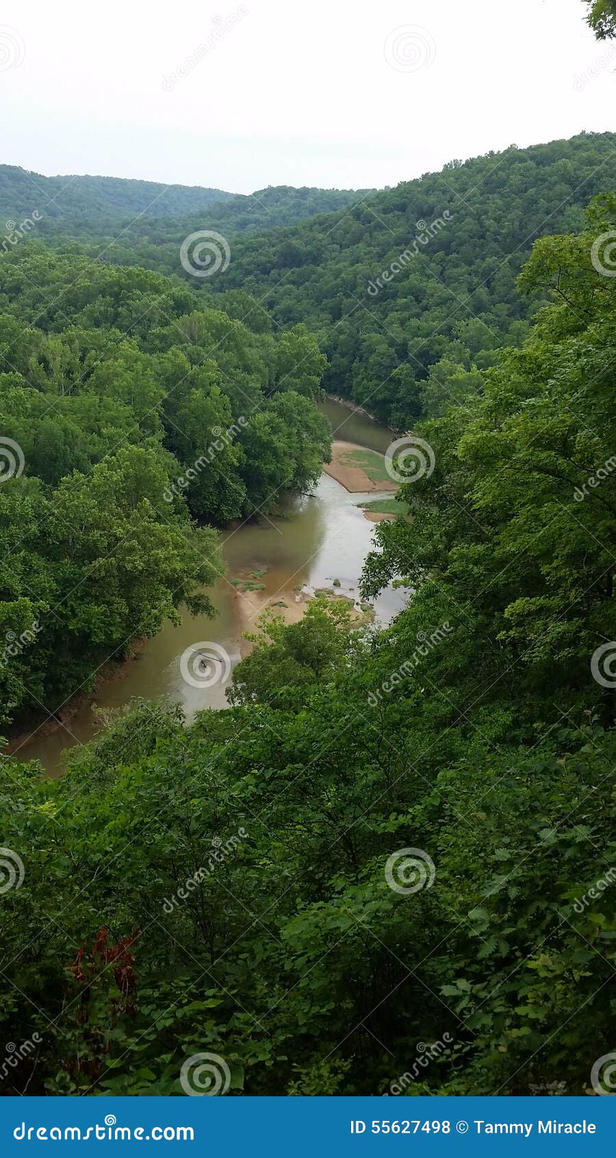 Overlook Point stock photo. Image of kentucky, river 55627498