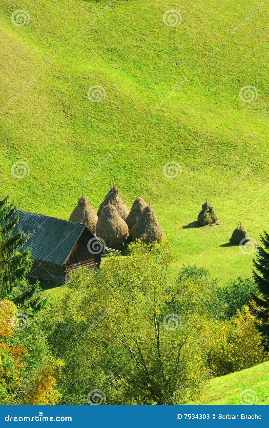 overlooking hillside farm