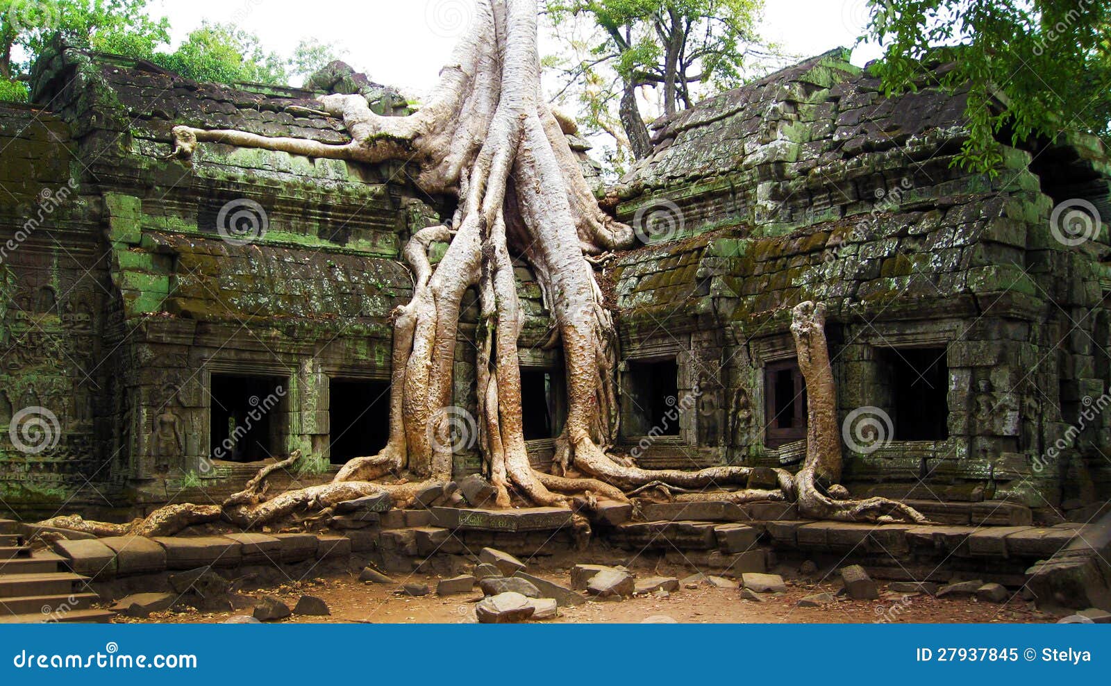 ta prohm temple siem reap cambodia- ancient angkor