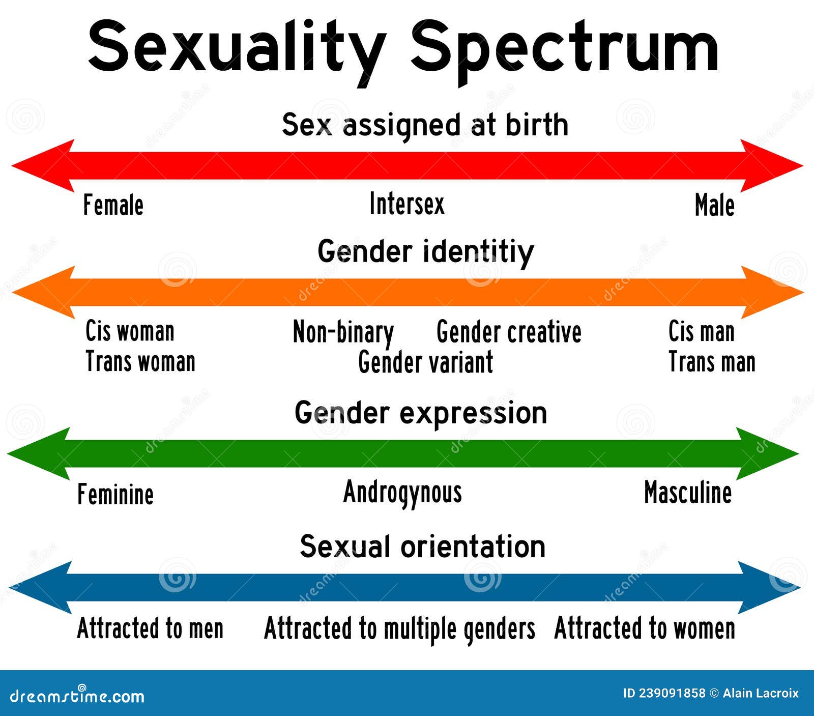 Sexuality Spectrum Stock Illustration Illustration Of Lgbt 239091858
