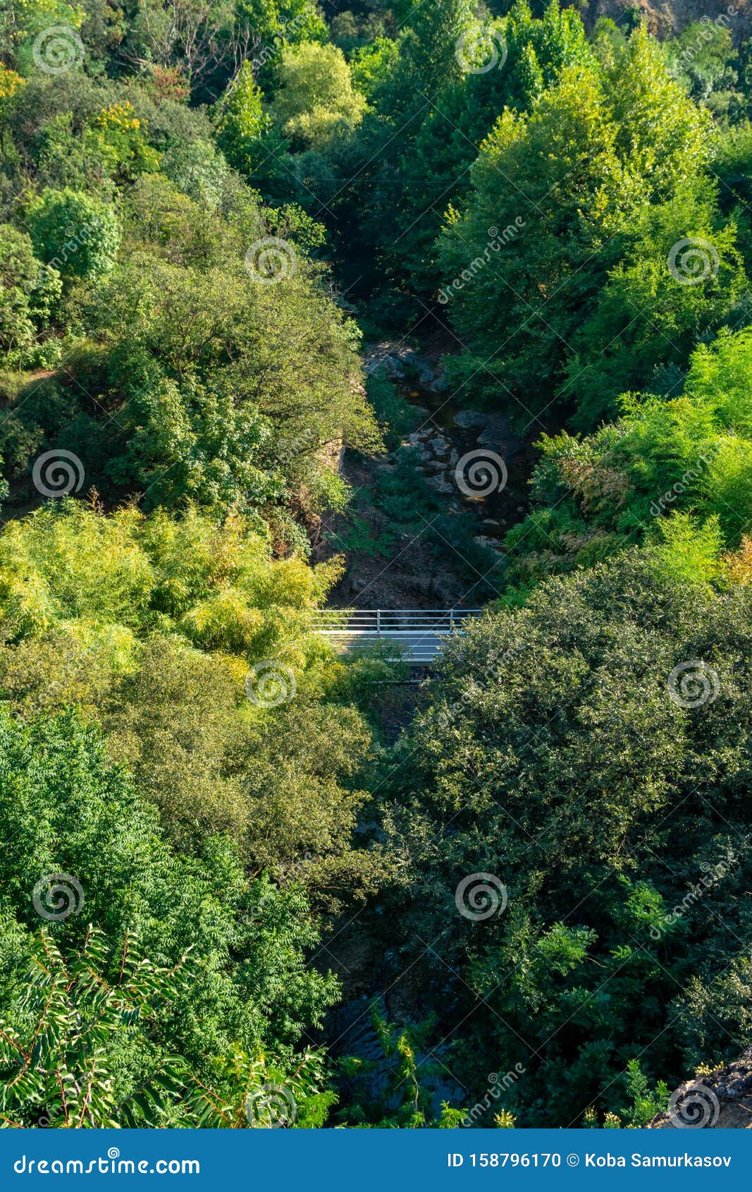 Overview Of The Botanical Garden In Tbilisi Georgia Stock Photo