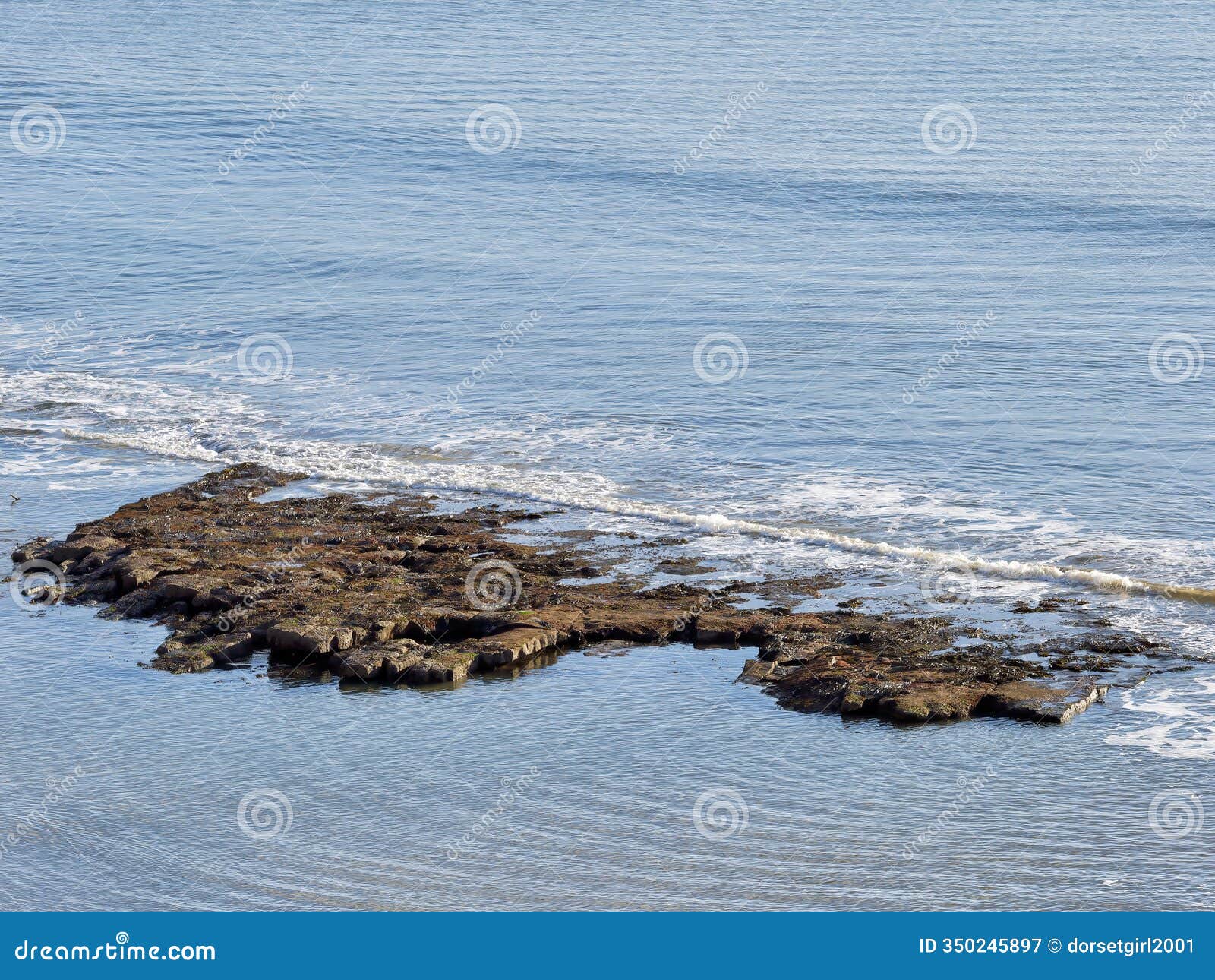 overview of lucys ledge at lyme regis dorset