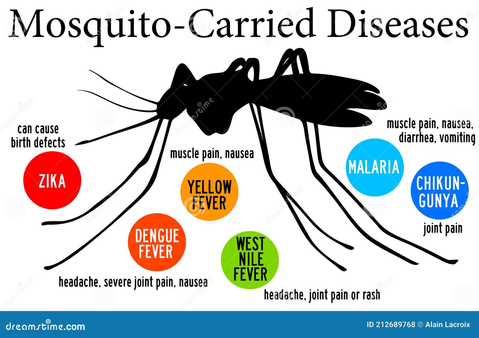 mosquito carried diseases