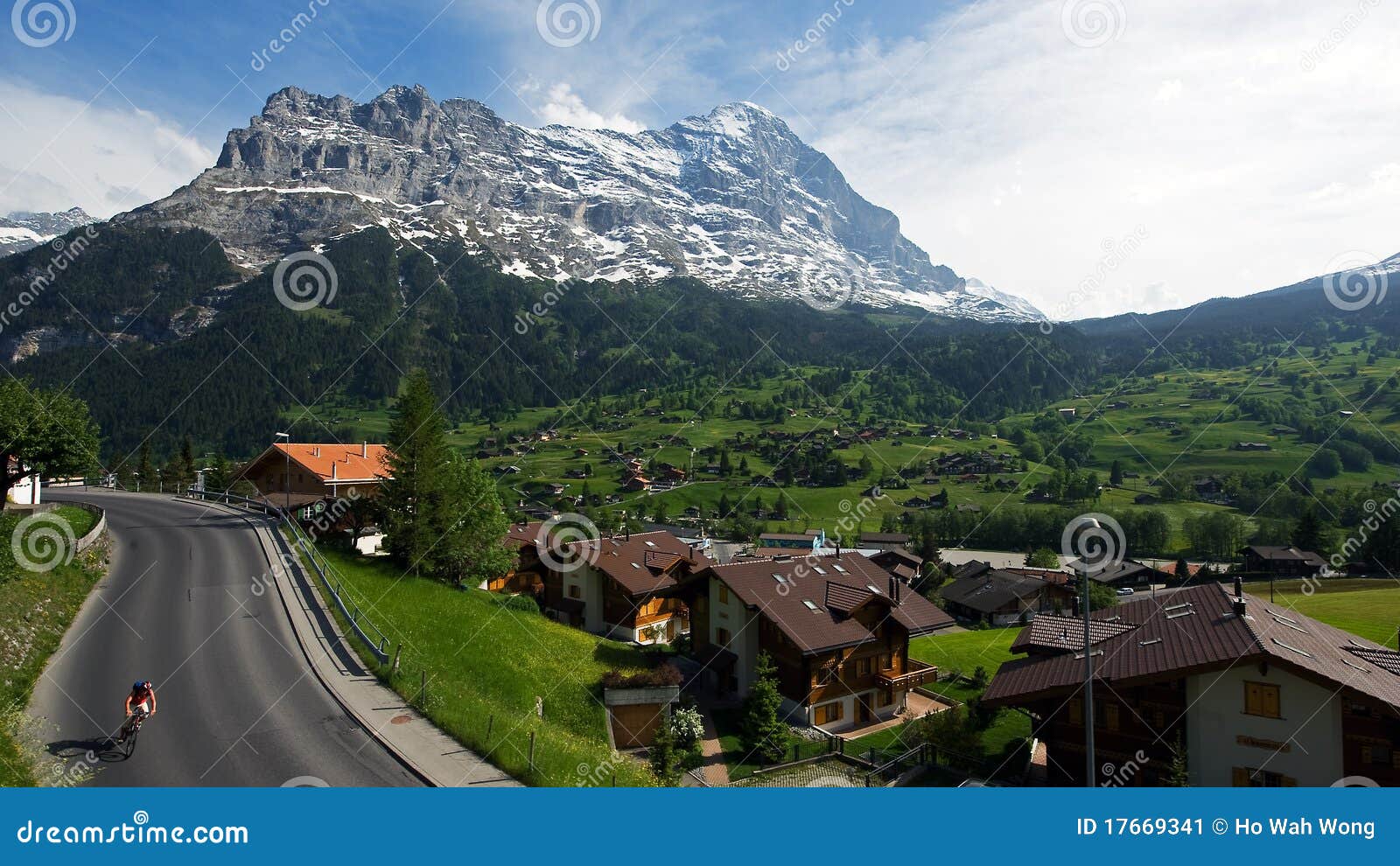 overview of the village at grindelwald