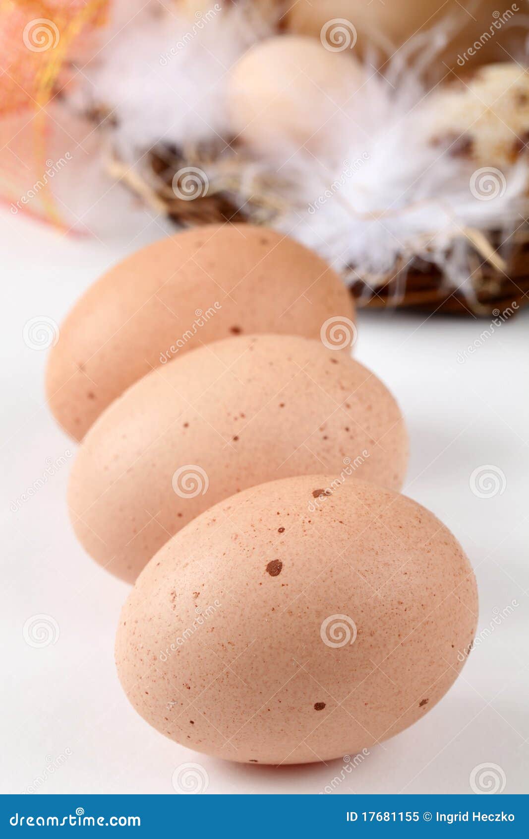 Ovos da galinha de Brown e ovos de Easter com penas em um ninho no fundo branco