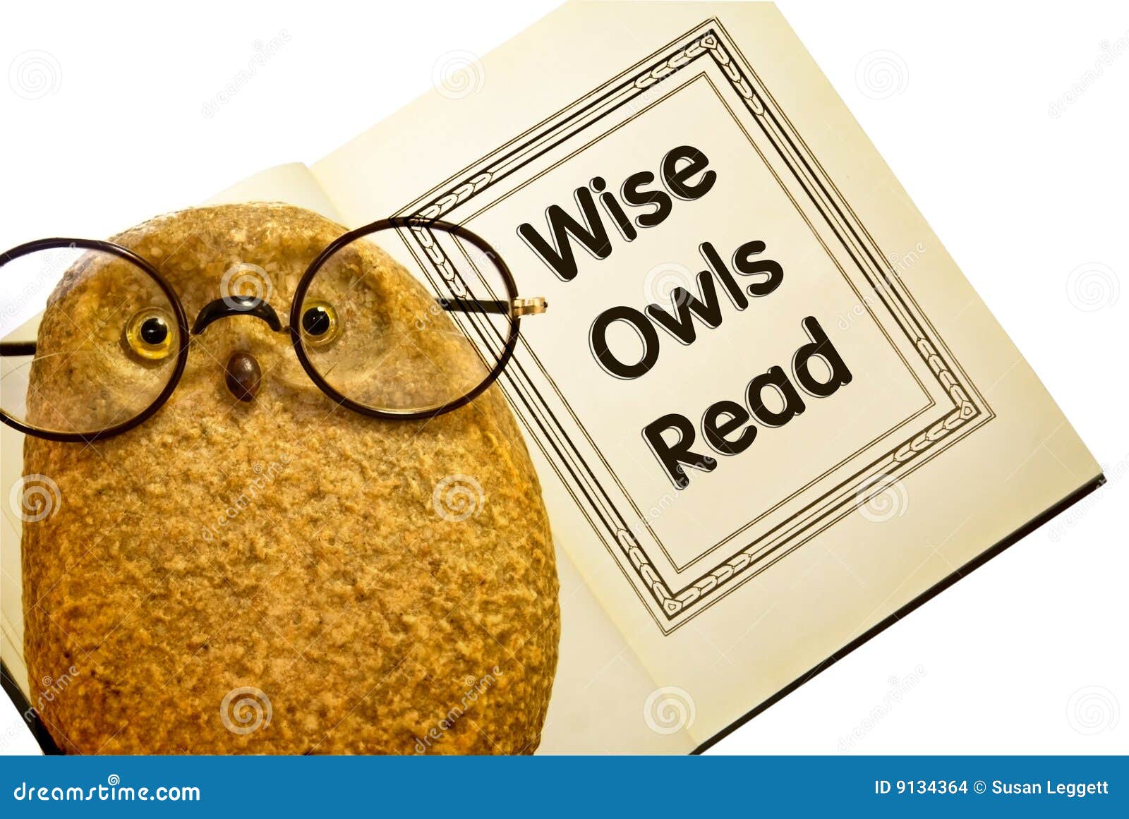 Owl With Book / Wise Owls Read. Funny owl with glasses ready to read a book. School concept or metaphor.