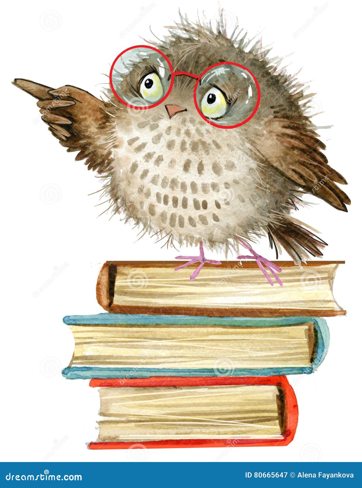 Owl Cute Owl Watercolor Forest Bird School Books Illustration