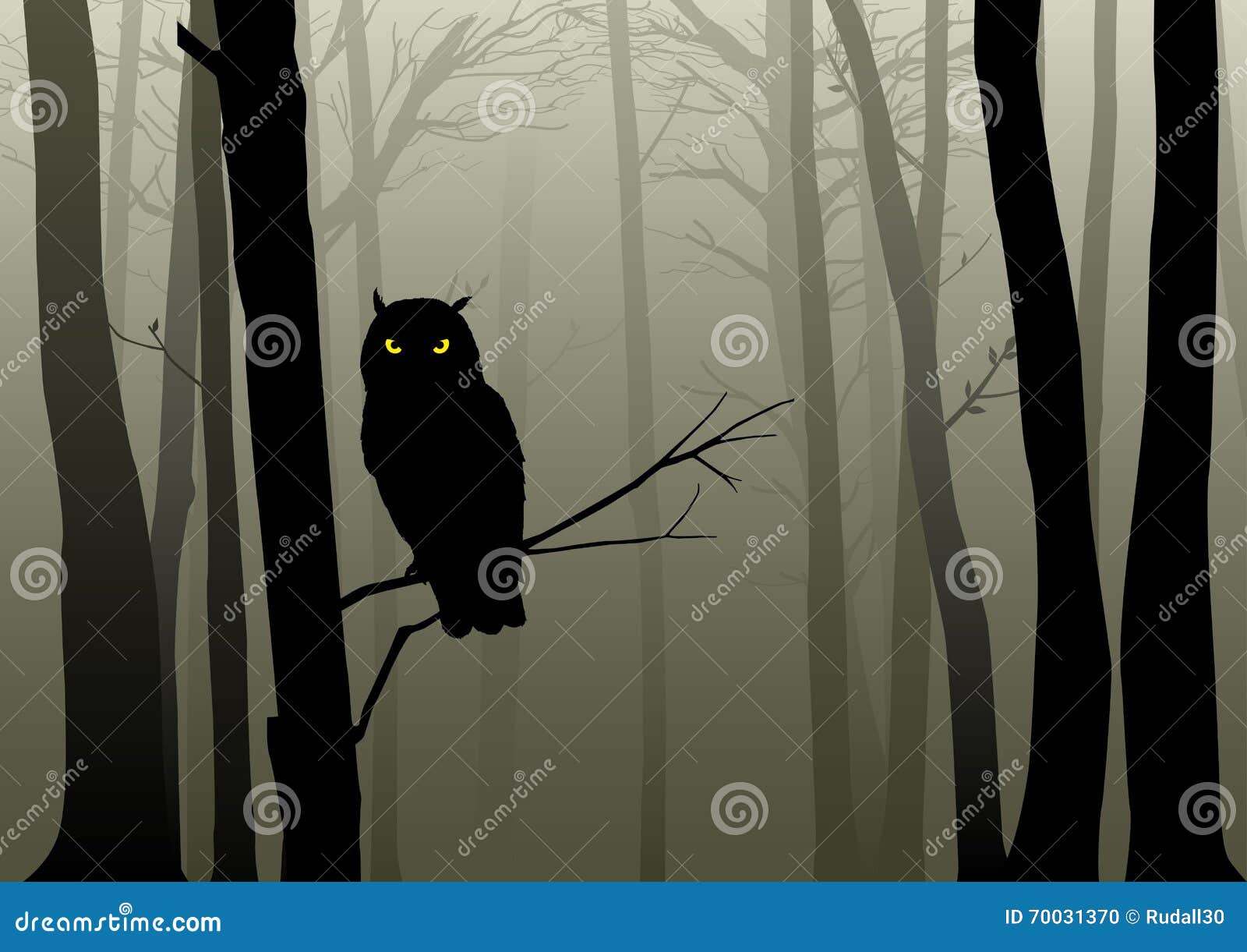 owl in the misty woods