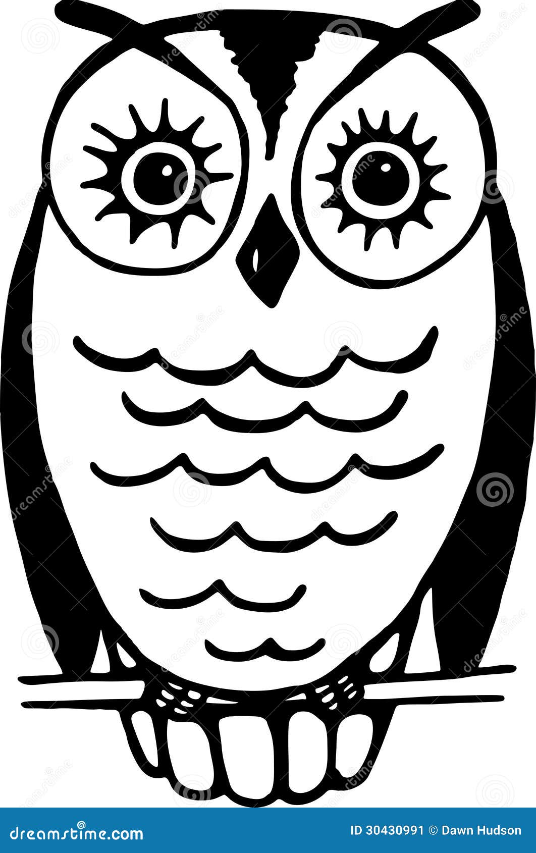  Owl Stock Image - Image 30430991