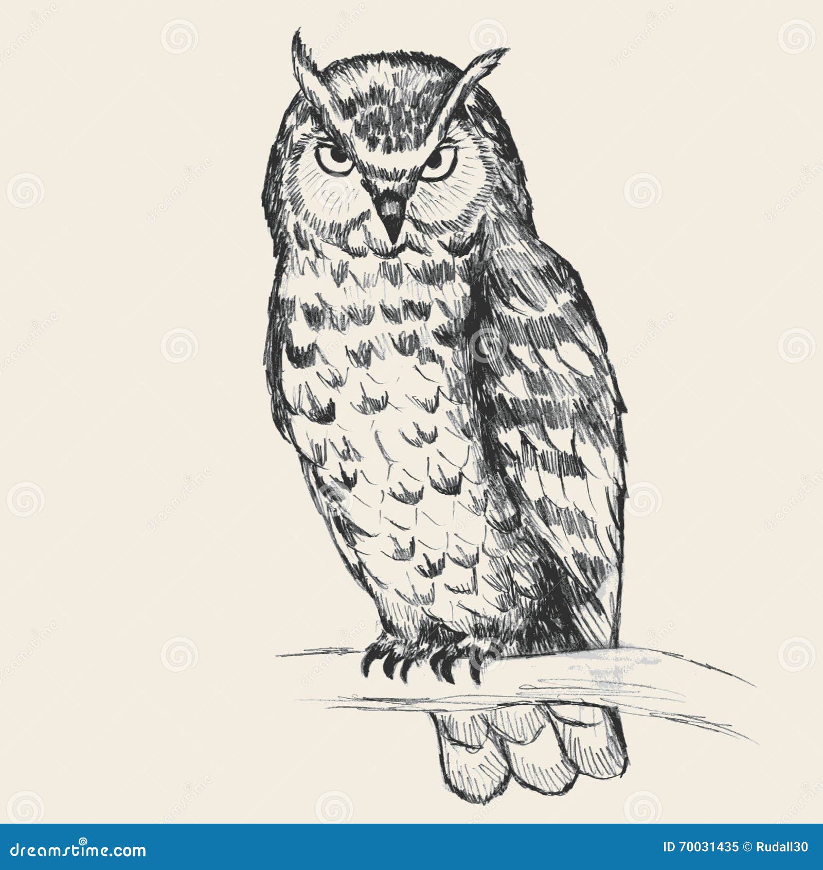 Owl Sketch Embroidery Design | Apex Monogram Designs & Fonts