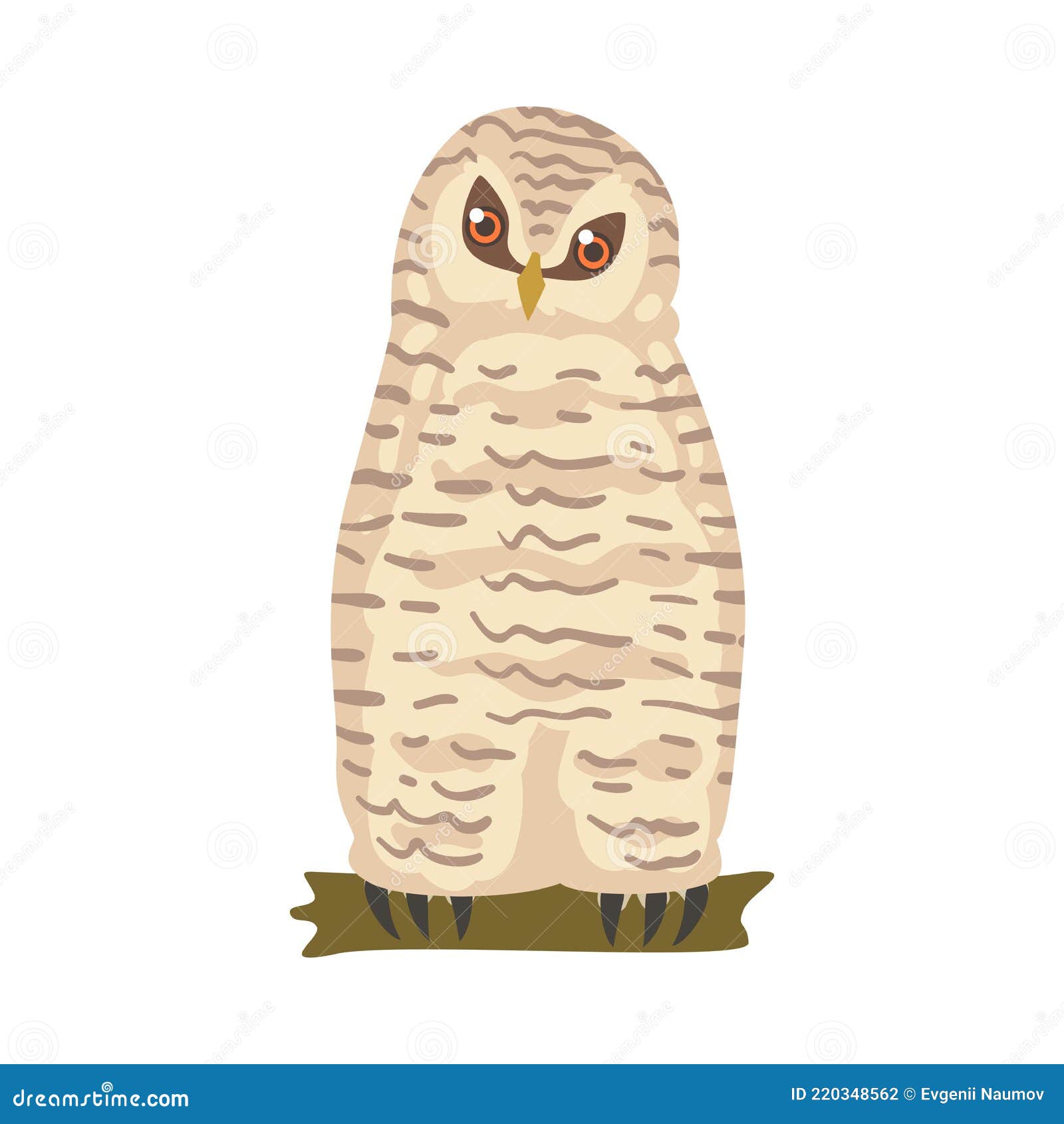 owl specie as nocturnal bird of prey with hawk-like beak and forward-facing eyes perching on tree branch 