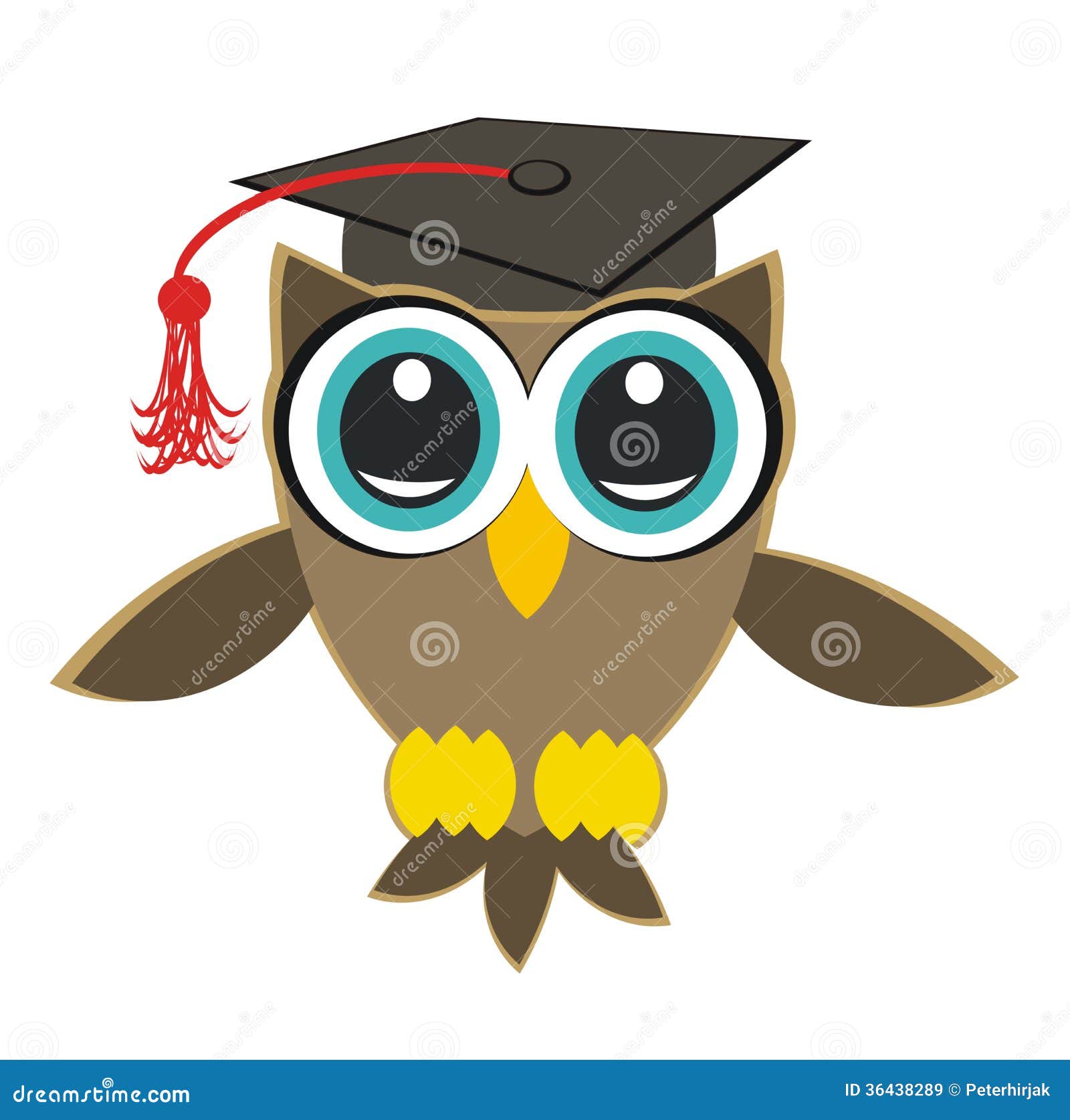 owl student