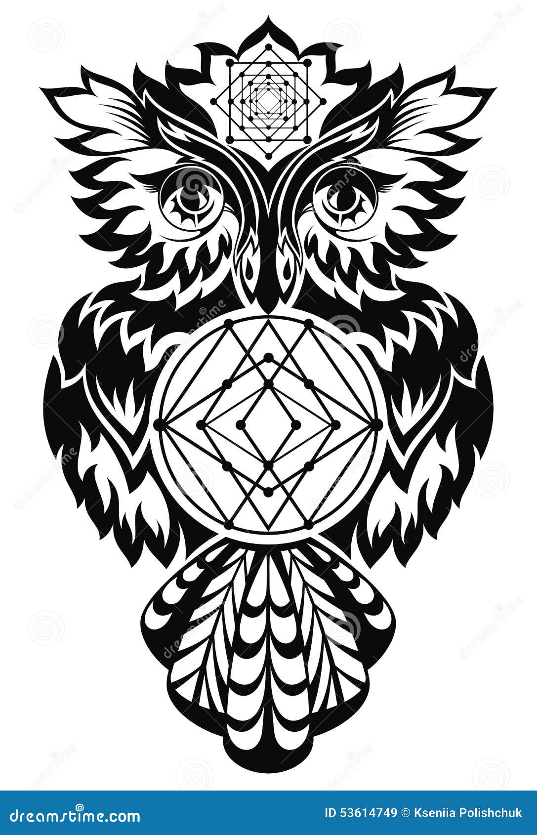 Gray owl sketch Barn owl Tattoo Idea Drawing owl watercolor Painting  white animals png  PNGWing