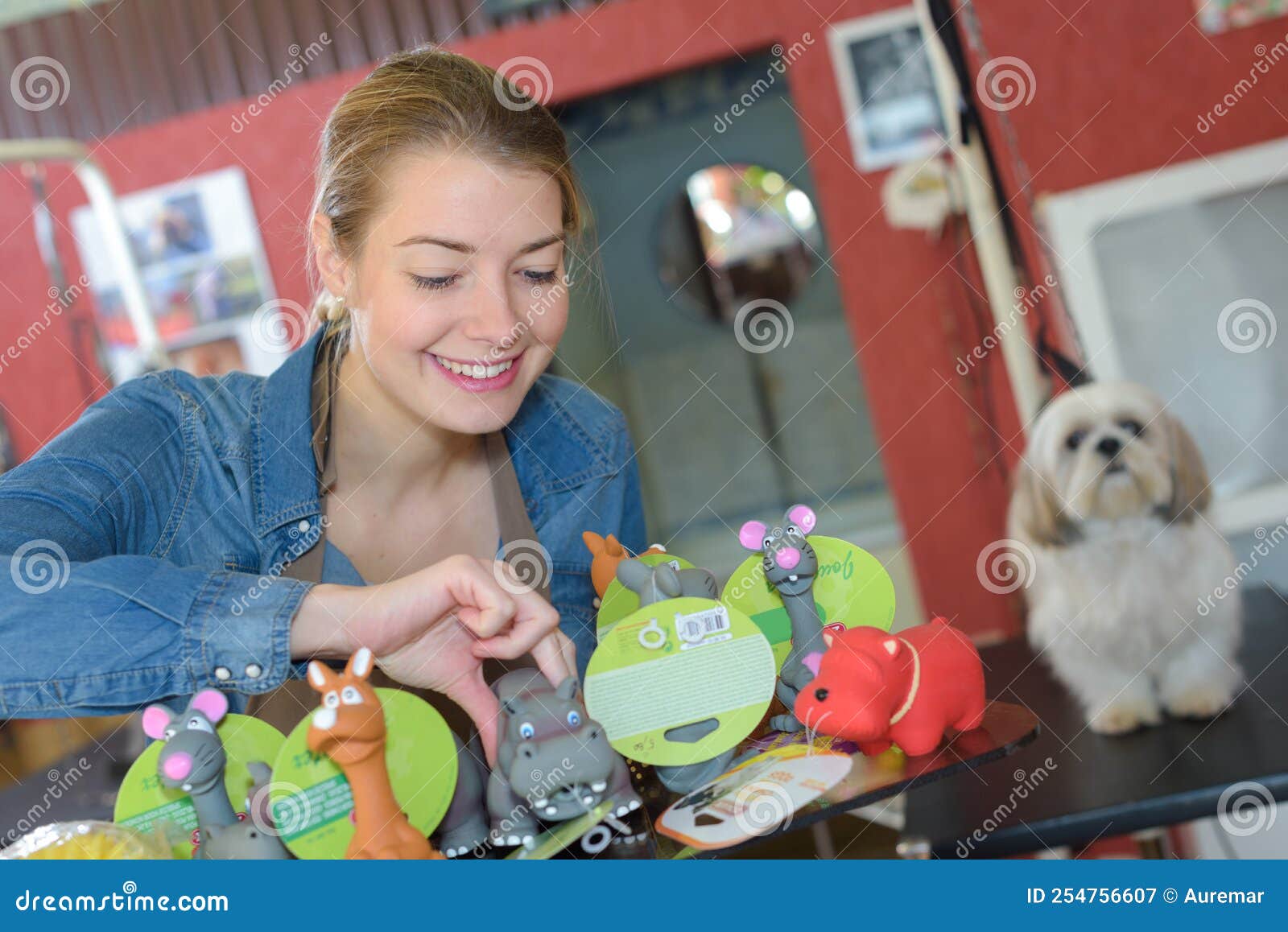 Owner choosing toy for dog stock image. Image of domestic 254756607