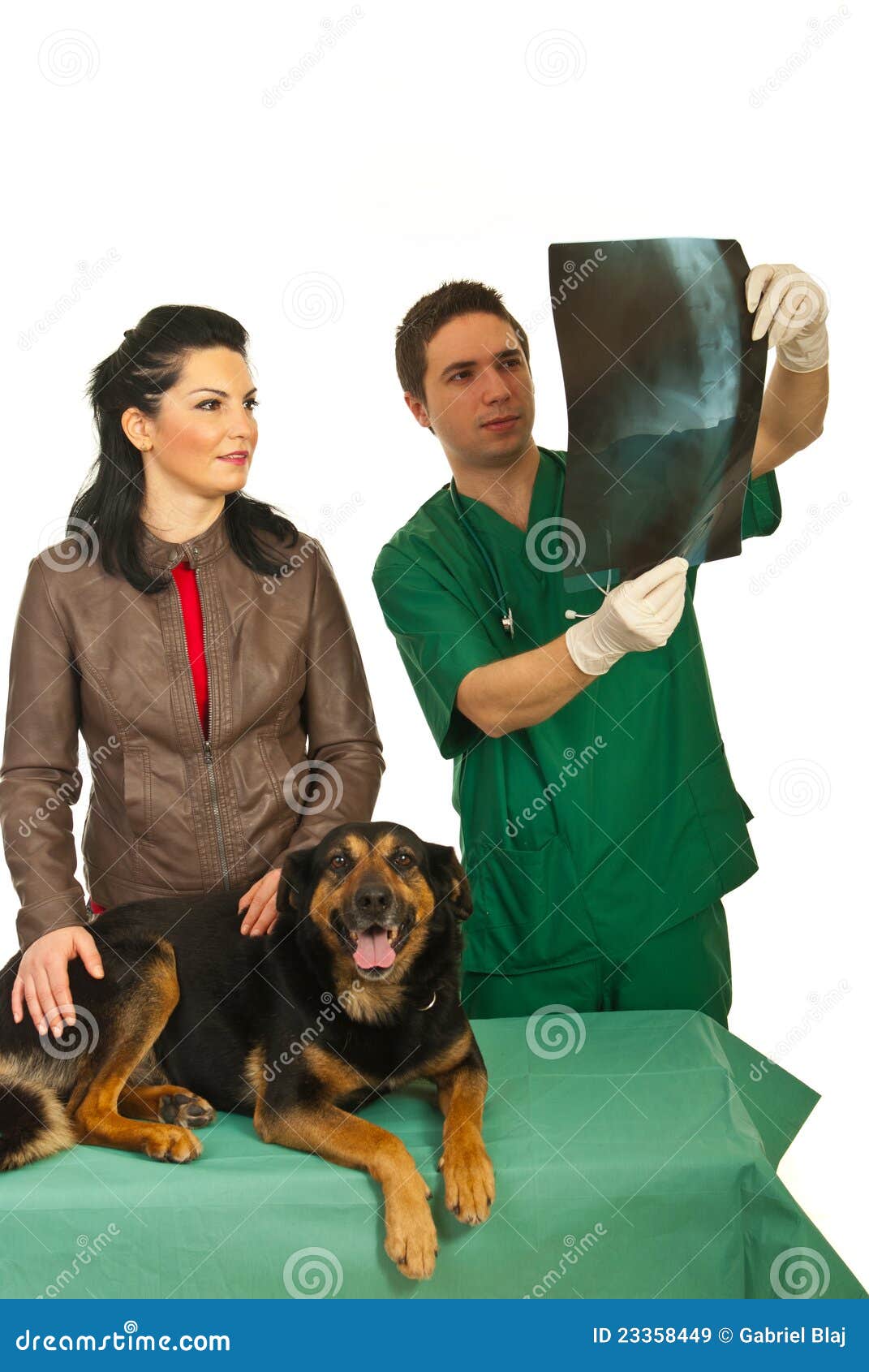 Owner with dog and radiologist vet. Owner women with her dog having conversation with vet men and together looking on spine dog x-ray