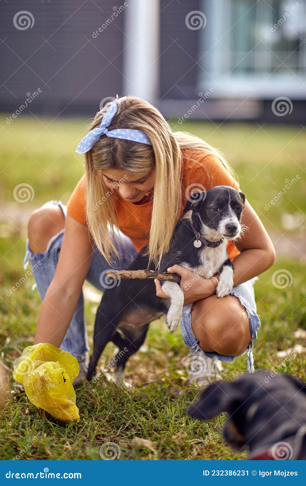 owner picking up dog`s feces