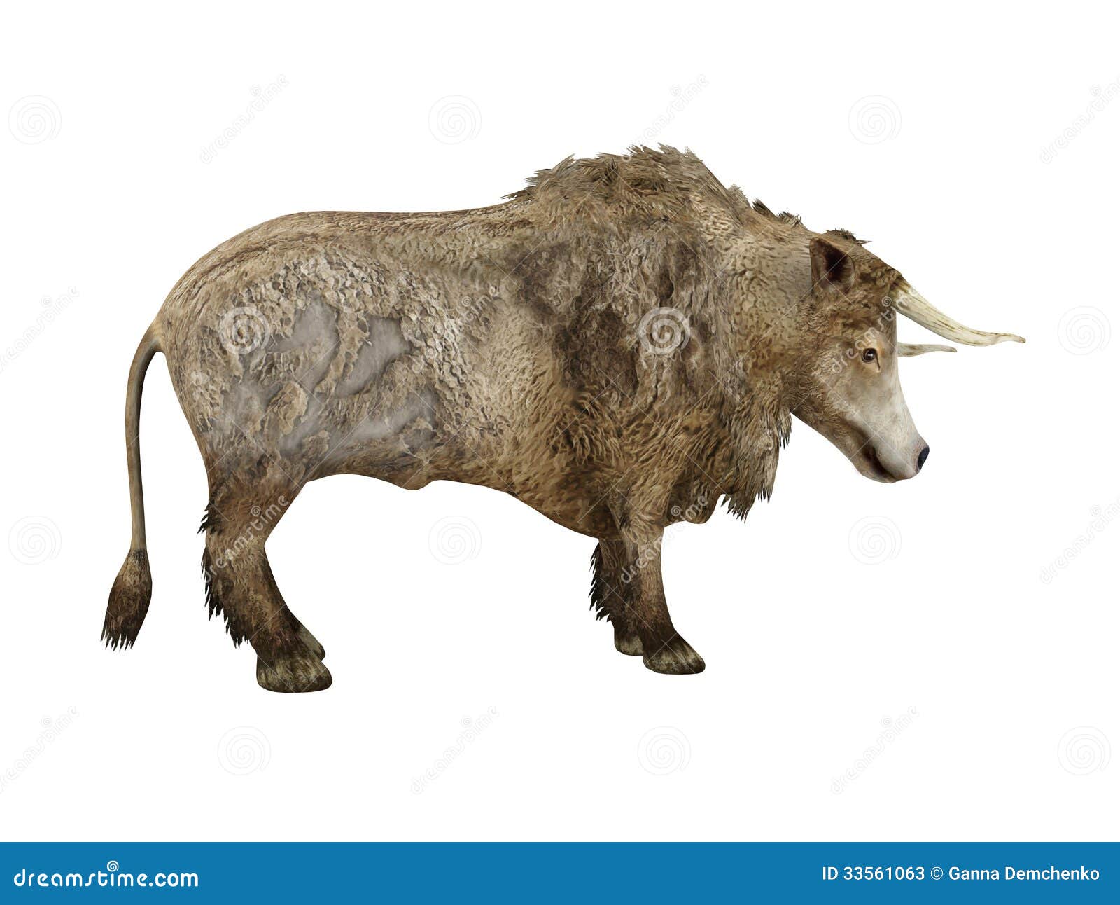 Ox. Isolated On White Background Stock Illustration - Illustration of
