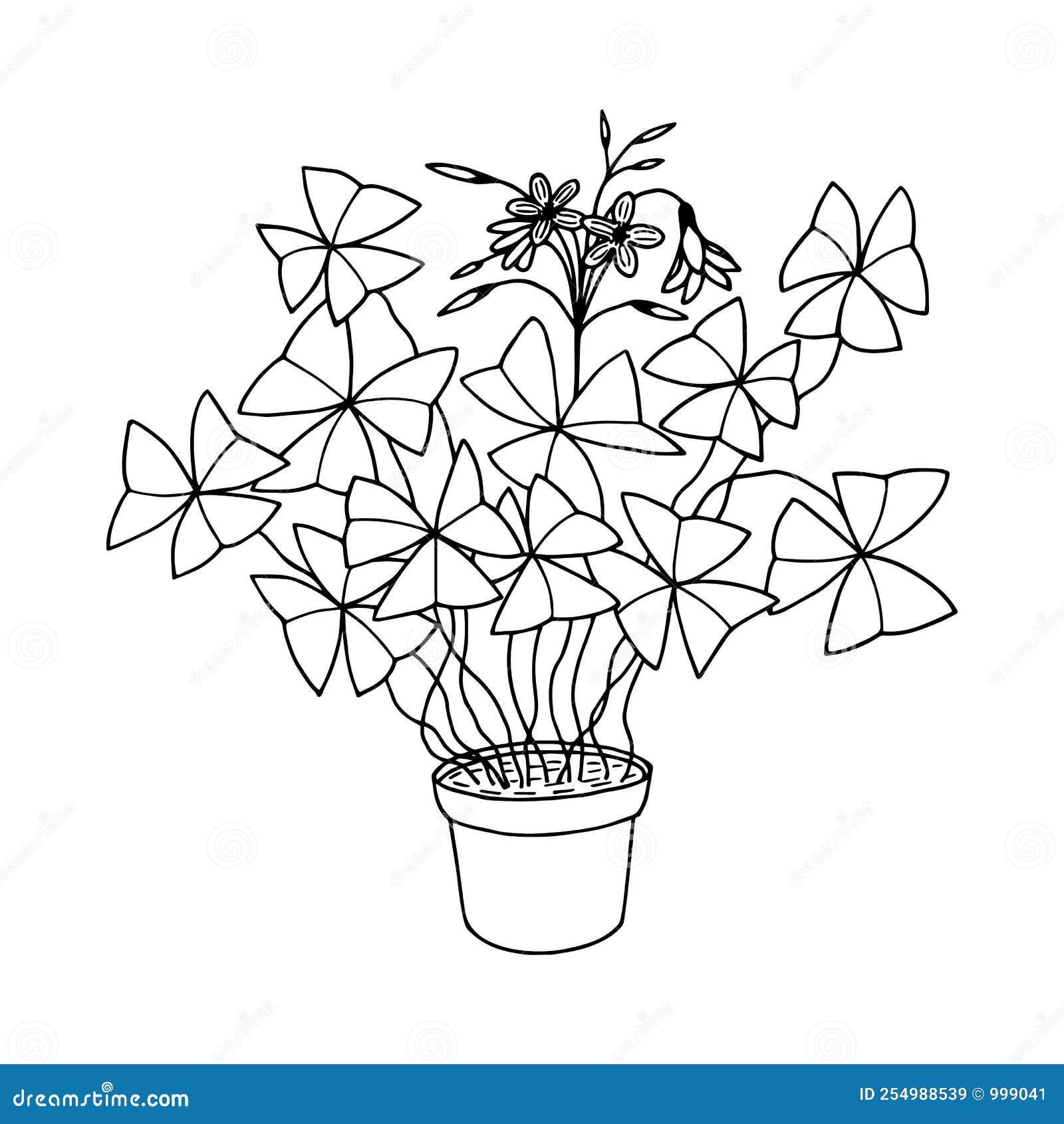 Oxalis Triangular, Purple Leaves. Vector Stock Illustration Eps10 ...