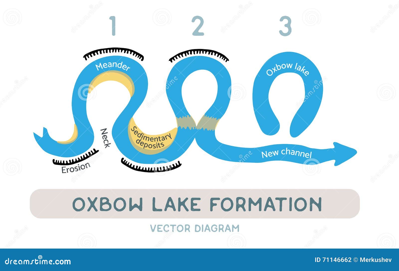 Oxbow Lake Formation  Vector Diagram Stock Vector