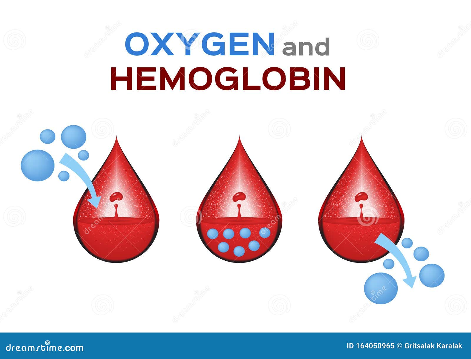 Oxygen And Hemoglobin Vector Illustration | CartoonDealer.com #143847356