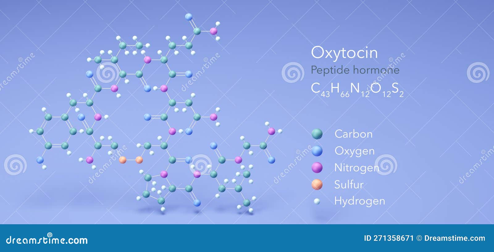 Oxytocin (cuddle Hormone) Molecule RoyaltyFree Stock Photo
