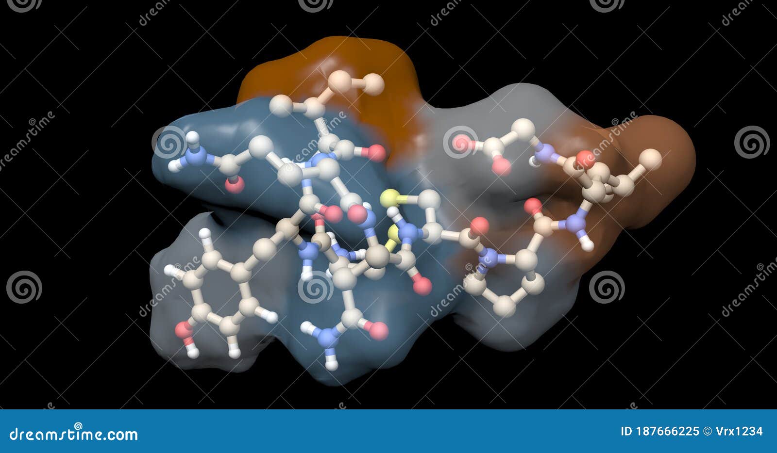 Oxytocin (cuddle Hormone) Molecule RoyaltyFree Stock Photo