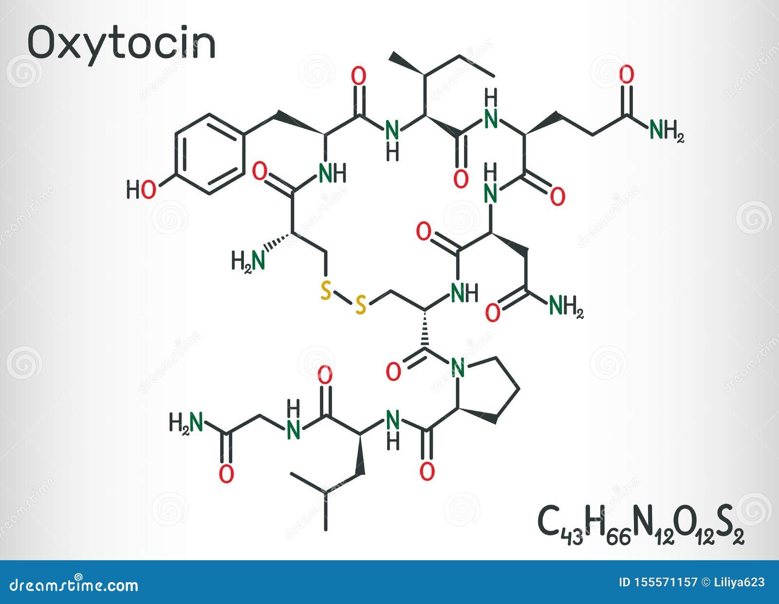 oxytocin-oxt-peptide-hormoon-en-neuropep