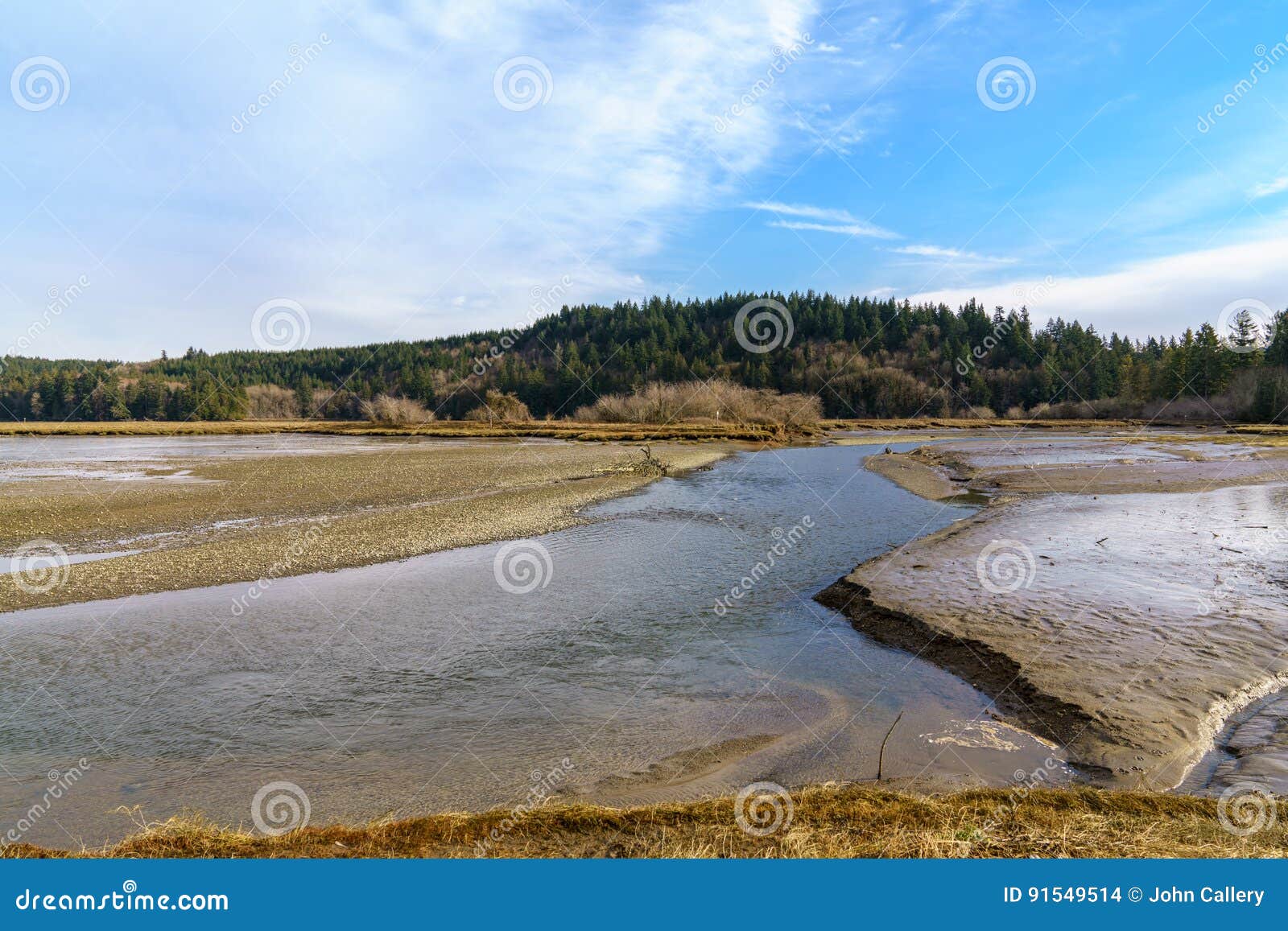Oyster Bay Low Tide stock photo. Image of gravel, oyster 91549514