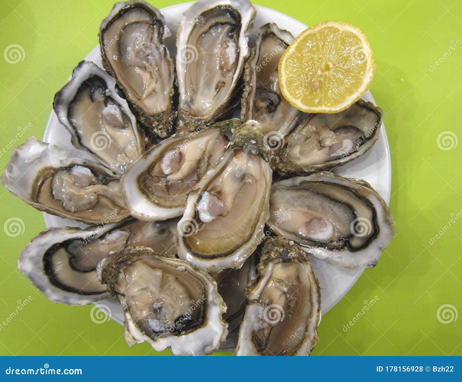 Oyster dish with lemon stock photo. Image of background 178156928