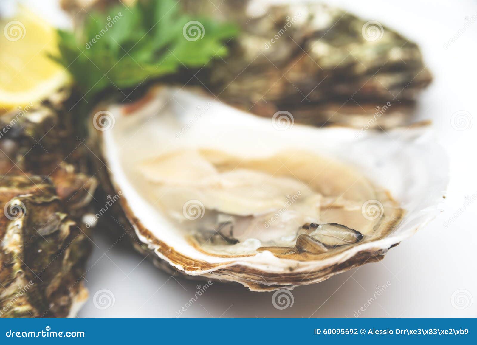 Oyster stock photo. Image of oyster, healthy, eating 60095692