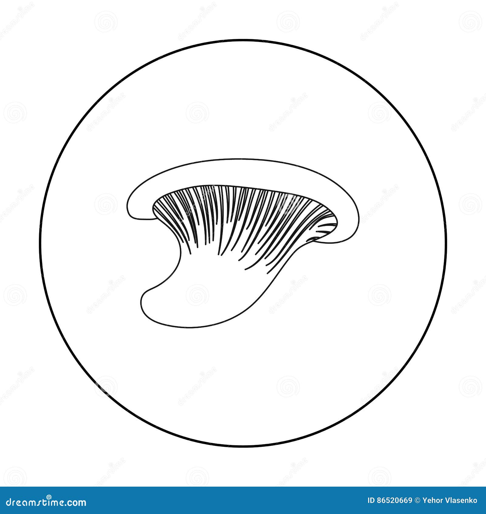 Oyster Icon in Outline Style Isolated on White Background. Mushroom ...