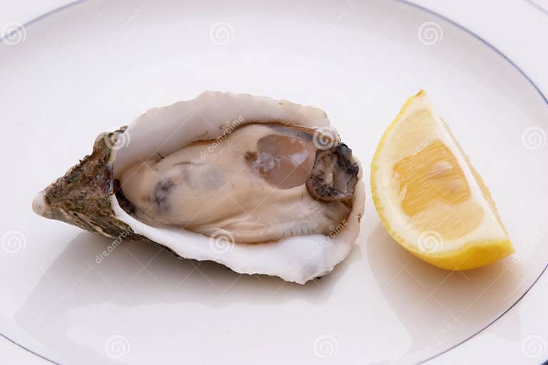 Oyster and Lemon stock image. Image of shellfish, meat 1143483