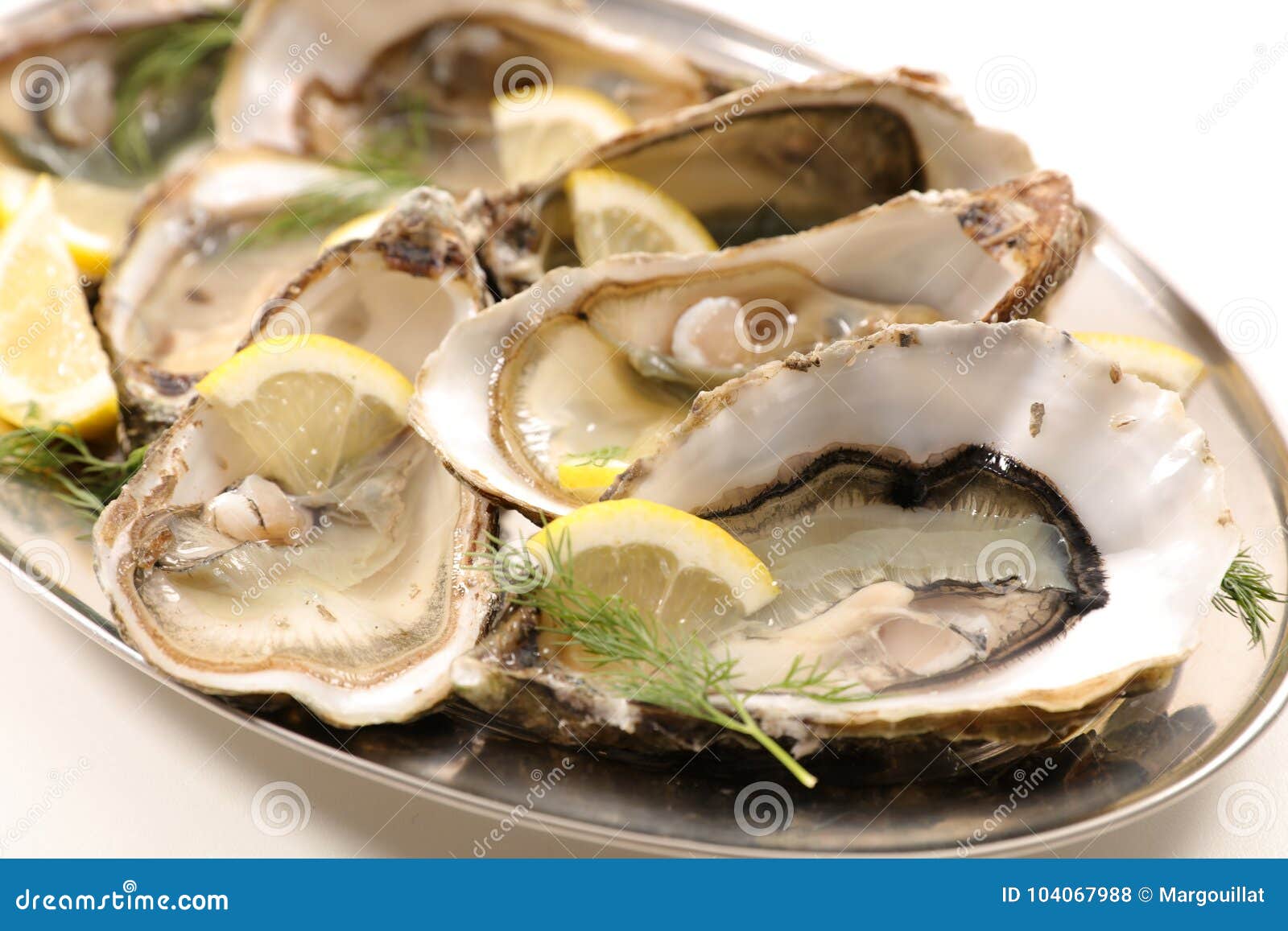 Oyster with lemon stock photo. Image of appetizer, christmas 104067988