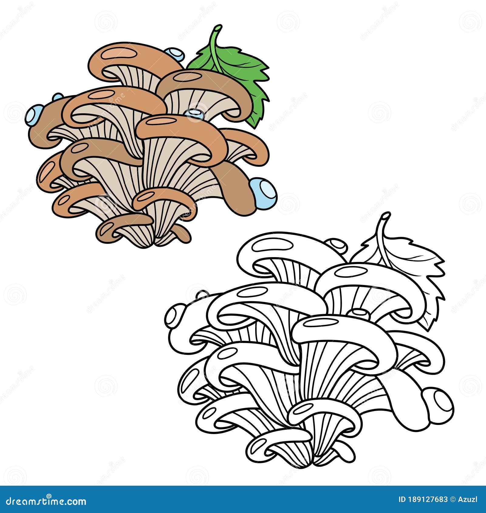 Oyster Mushrooms with a Green Leaf Color and Outlined for Coloring Page