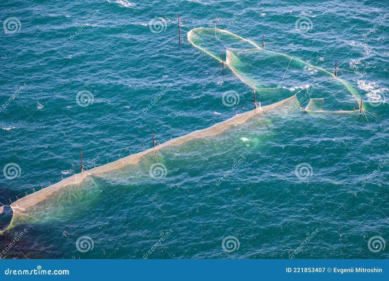 Oyster Nets, Oyster and Mussel Fishing Stock Image Image of boka