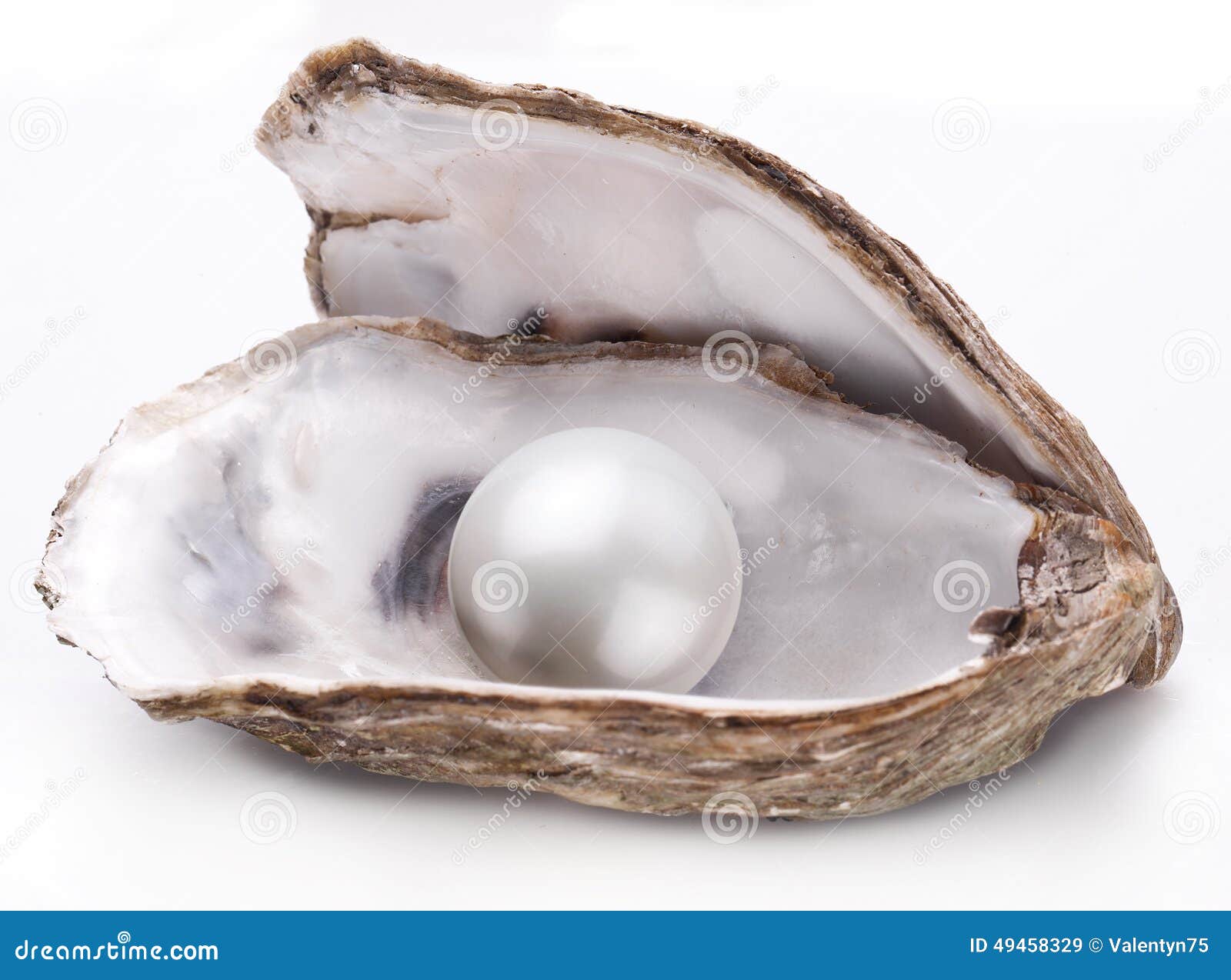 oyster with pearl .