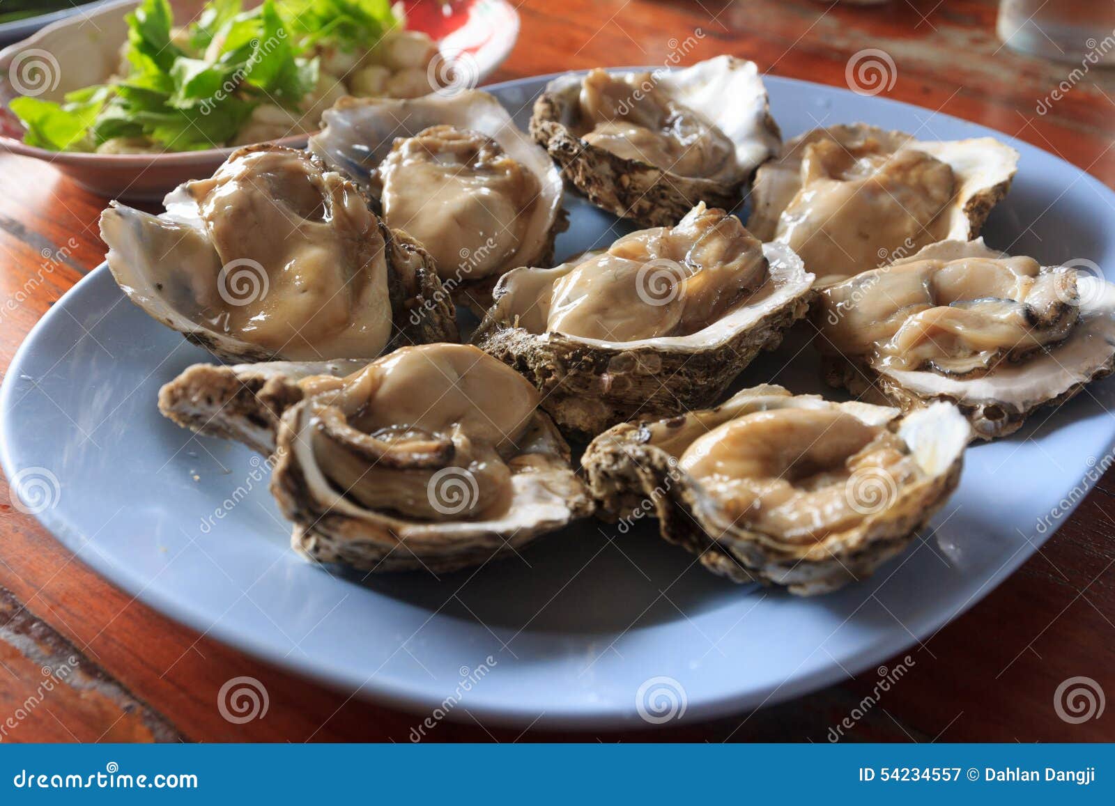 Oyster stock image. Image of fennel, round, oysters, seafood 54234557