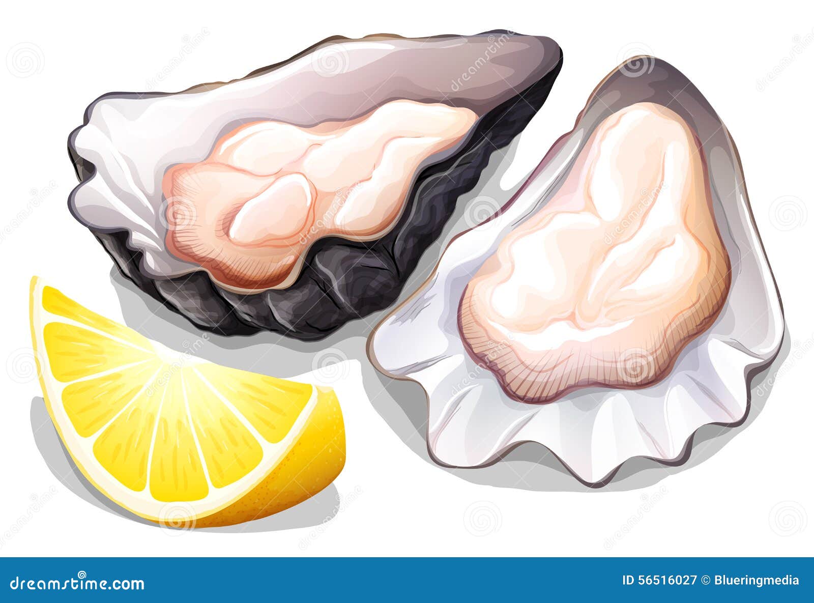 Oyster stock vector. Illustration of clipart, fresh, diet 56516027