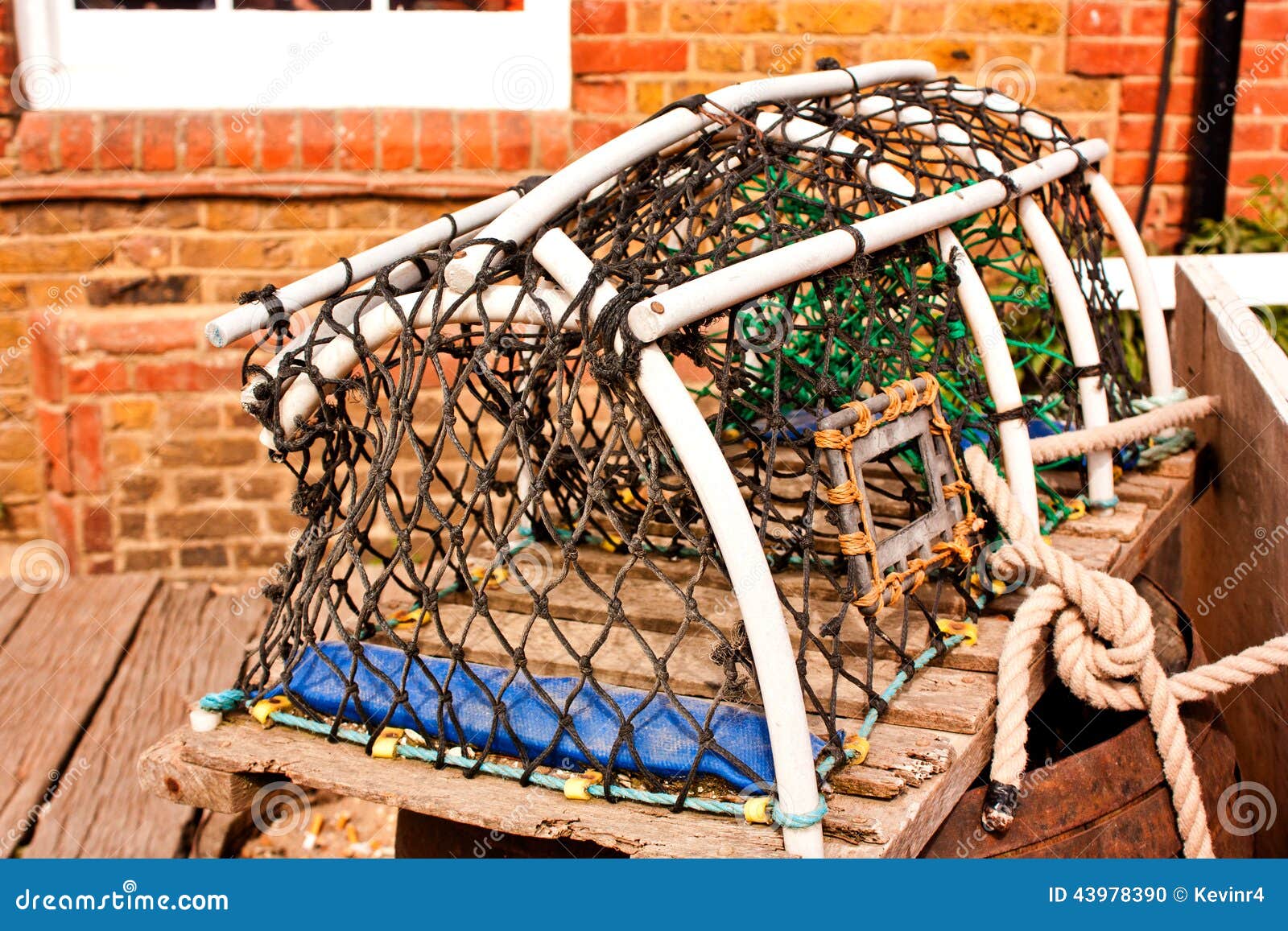 Oyster trap stock photo. Image of oysters, cage, seafood 43978390
