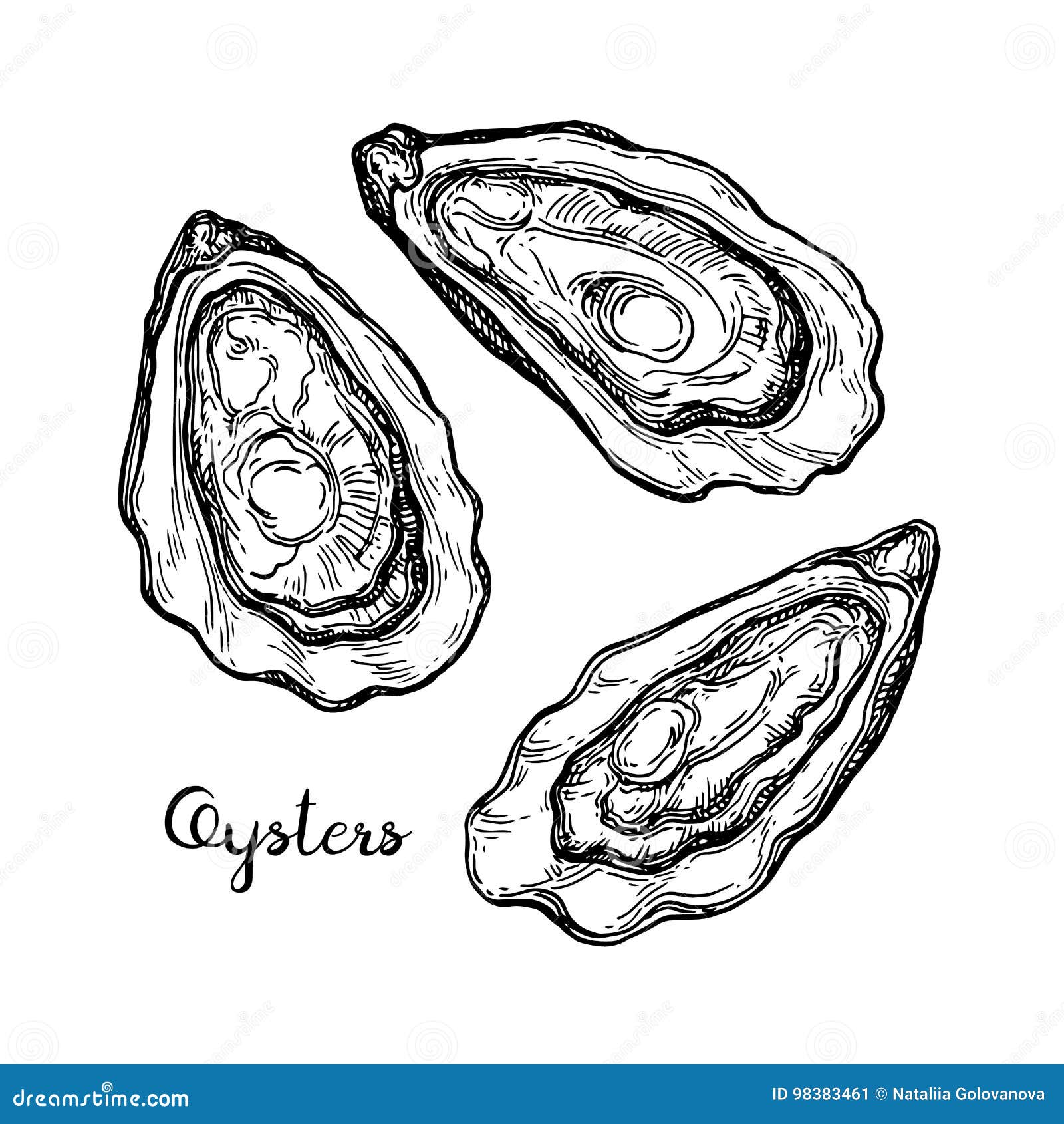 Oysters ink sketch. stock vector. Illustration of restaurant 98383461