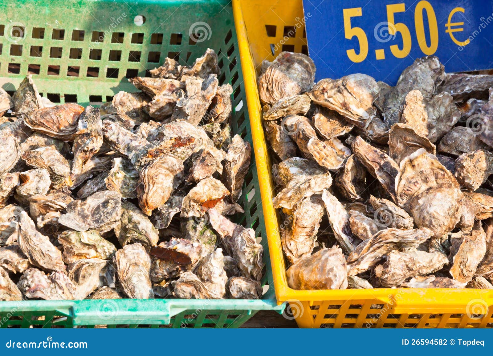 Oysters market stock photo. Image of meal, healthy, europe 26594582